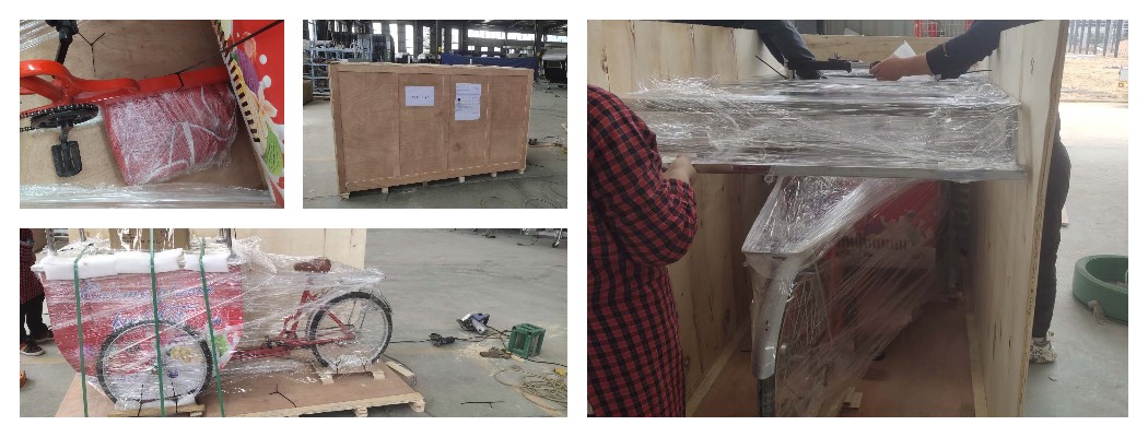 the shipment of freezer bike cart to France